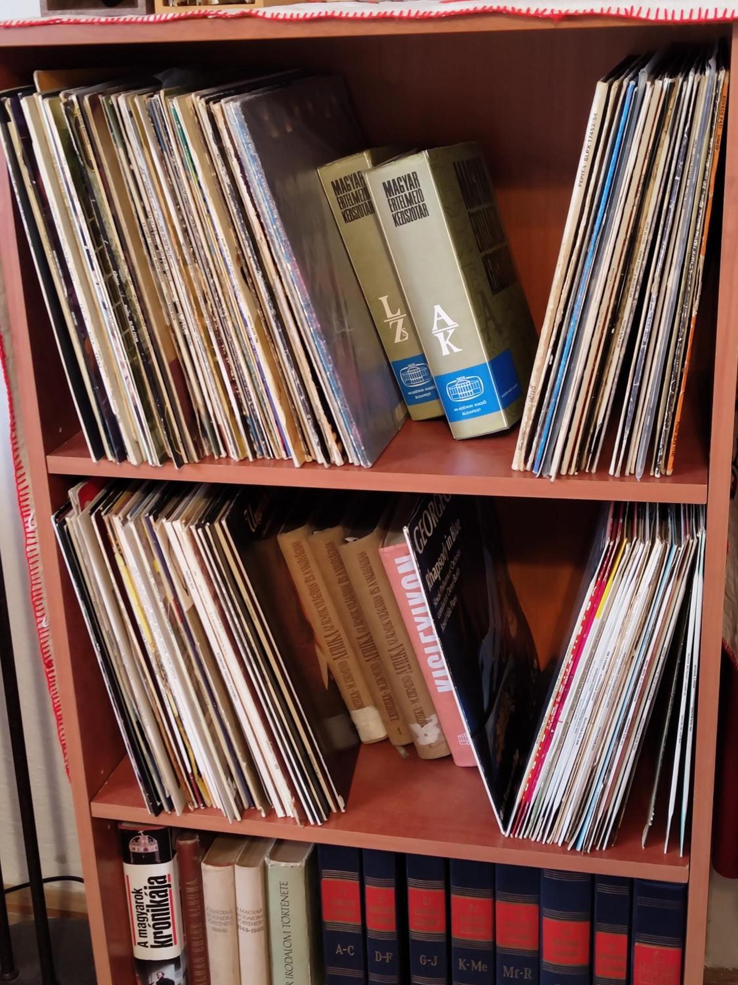Strekov Vinyl Houseゲストハウス エクステリア 写真